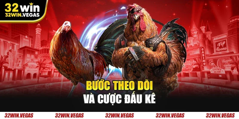 Bước theo dõi và cược đấu kê