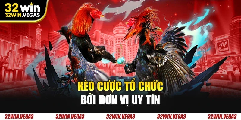 Kèo cược tổ chức bởi đơn vị uy tín